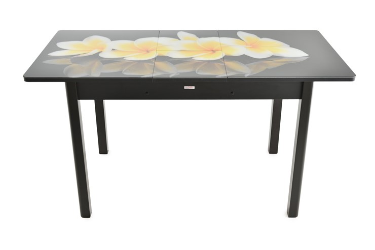 Обеденный раздвижной стол Гамбург исп.2 ноги метал. крашеные №23, Фотопечать (Цветы №49) в Кушве - изображение 7