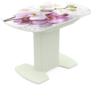 Кухонный раздвижной стол Корсика исп. 1 Фотопечать (Цветы №44) 1100(1415)*700 в Асбесте