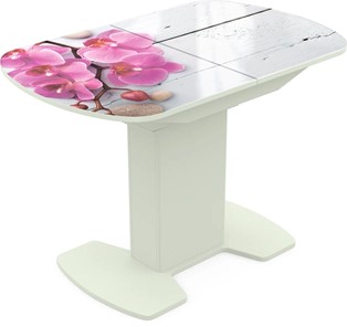 Кухонный стол раздвижной Корсика исп. 2 Фотопечать (Цветы №24) 1200(1515)*800 в Ирбите