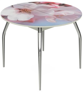 Стеклянный стол Ривьера - Круг, ноги метал. крашеные №24, ФП (Цветы №15) в Екатеринбурге
