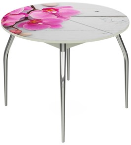Стеклянный стол Ривьера - Круг, ноги метал. крашеные №24, ФП (Цветы №24) в Екатеринбурге
