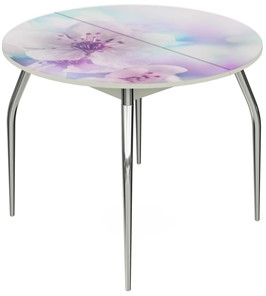 Обеденный раздвижной стол Ривьера - Круг, ноги метал. крашеные №24, ФП (Цветы №40) в Первоуральске