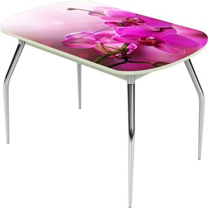 Раздвижной стол Ривьера исп.1 ноги метал. крашеные №24 Фотопечать (Цветы №16) в Ревде