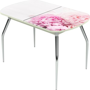 Кухонный стол раскладной Ривьера исп.1 ноги метал. крашеные №24 Фотопечать (Цветы №49) в Первоуральске