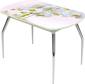 Кухонный раздвижной стол Ривьера исп.1 ноги метал. крашеные №24 Фотопечать (Цветы №7) в Ревде