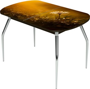 Кухонный раскладной стол Ривьера исп.2 ноги метал. крашеные №24 Фотопечать (Цветы №43) в Ревде
