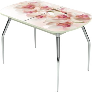 Раздвижной стол Ривьера исп.2 ноги метал. крашеные №24 Фотопечать (Цветы №8) в Ревде