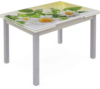 Кухонный стол раздвижной Шанхай исп. 1, ноги метал. крашеные №21 Фотопечать (Цветы №3) в Ирбите
