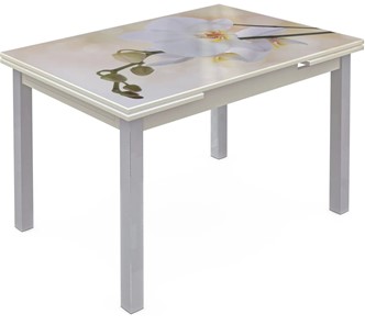 Кухонный стол раздвижной Шанхай исп. 1, ноги метал. крашеные №21 Фотопечать (Цветы №5) в Ирбите