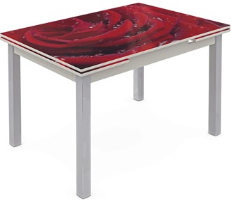 Раздвижной стол Шанхай исп. 2, ноги метал. крашеные №21 Фотопечать (Цветы №39) в Ирбите
