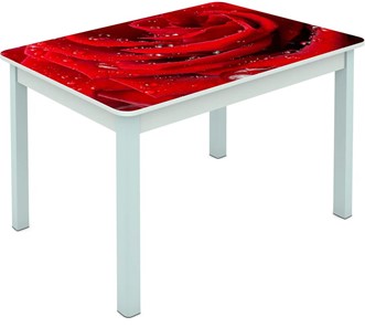 Стеклянный обеденный стол Мюнхен исп. 2 ноги метал. крашеные №23 Фотопечать (Цветы №39) в Екатеринбурге