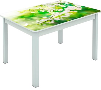 Обеденный стол Мюнхен исп. 2 ноги метал. крашеные №23 Фотопечать (Цветы №45) в Ревде