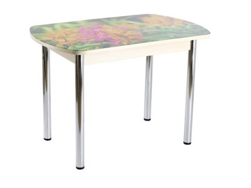 Кухонный обеденный стол ПГ-06 СТФ, дуб молочный ЛДСП/луговые цветы/39 прямые трубы хром в Ревде