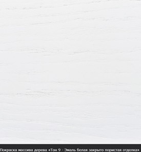 Раздвижной стол Леонардо-1 исп. Круг 1000, тон 8 Покраска + патина (в местах фрезеровки) в Екатеринбурге - предосмотр 18