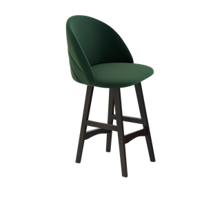 Полубарный стул SHT-ST35-2 / SHT-S65-1 (лиственно-зеленый/венге) в Екатеринбурге