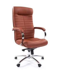Кресло офисное CHAIRMAN 480 Экокожа Terra 111 (коричневая) в Кушве