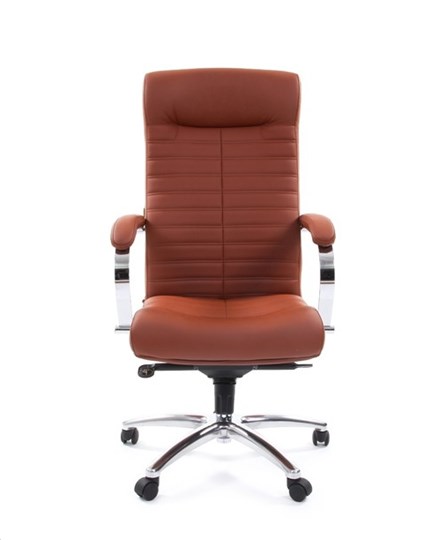 Кресло офисное CHAIRMAN 480 Экокожа Terra 111 (коричневая) в Ревде - изображение 1