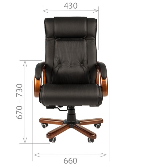 Офисное кресло CHAIRMAN 653 кожа черная в Ирбите - изображение 1