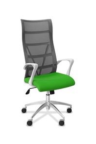 Кресло для руководителя Топ X белый каркас, сетка/ткань TW / серая/салатовая в Артемовском