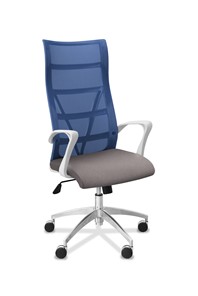 Офисное кресло для руководителя Топ X белый каркас, сетка/ткань TW / синяя/серая в Кушве - предосмотр