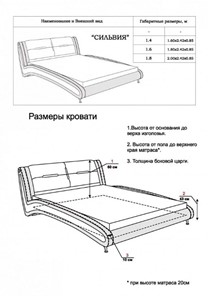 Полутороспальная кровать Сильвия 1400х2000 в Екатеринбурге - предосмотр 13