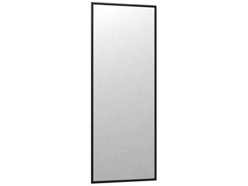 Зеркало навесное в гардероб Сельетта-6 черный (1100х400х9) в Ревде