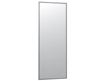 Настенное зеркало Сельетта-6 матовое серебро (1100х400х9) в Кушве