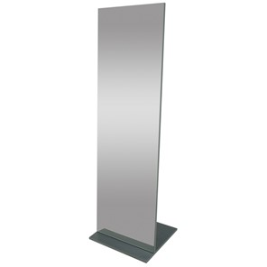 Зеркало напольное Стелла (графит темный) 163,5 см x 50 см в Кушве