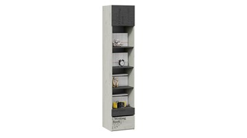 Комбинированный шкаф Оксфорд-2 ТД-399.07.20 в Ревде