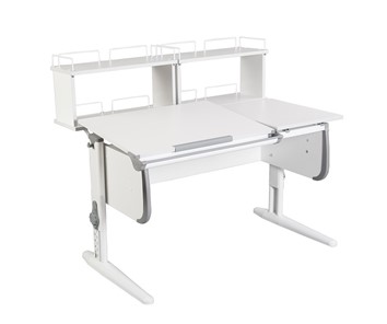 Детский стол-трансформер 1/75-40 (СУТ.25) + Polka_zz 1/600 (2 шт.)  белый/белый/Серый в Ревде