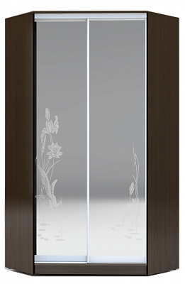Шкаф 2200х1103, ХИТ У-22-4-66-01, цапля, 2 зеркала, венге аруба в Екатеринбурге - изображение
