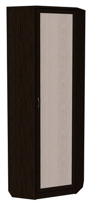 Распашной шкаф 402 угловой со штангой, цвет Венге в Асбесте - изображение