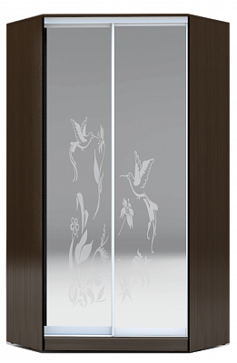Угловой шкаф 2400х1103, ХИТ У-24-4-66-03, колибри, 2 зеркалами, венге в Екатеринбурге - изображение