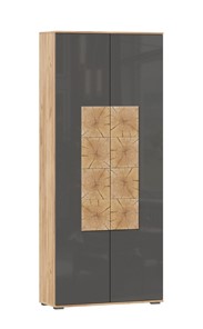 Шкаф двухстворчатый Фиджи с декоративными накладками 659.310, Дуб Золотой/Антрацит в Кушве