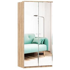 Шкаф двухстворчатый с 2-мя зеркалами Фиджи, 659.238, цвет белый в Красноуфимске