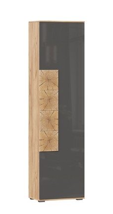Шкаф одностворчатый Фиджи с декоративными накладками 659.300, Дуб Золотой/Антрацит в Полевском - изображение