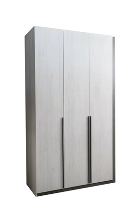 Шкаф 3-створчатый Винтер-3, винтерберг/темно-серый в Каменске-Уральском - изображение