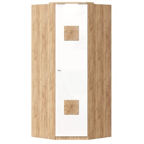 Шкаф угловой 45 с декоративной накладкой Фиджи, 659.248, белый в Кушве