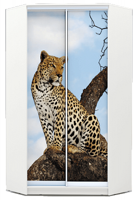 Шкаф угловой 2200х1103, ХИТ У-22-4-77-04, Леопард, белая шагрень в Екатеринбурге - изображение
