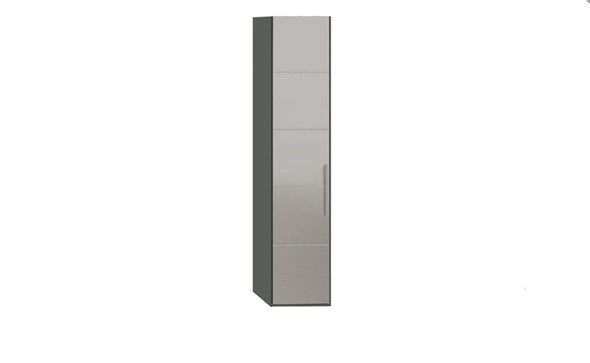 Шкаф Наоми с зеркальной дверью левый, цвет Фон серый, Джут СМ-208.07.02 L в Кушве - изображение