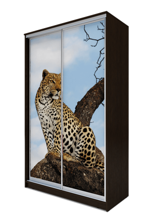 Шкаф 2-х дверный 2400х1200х620, Леопард ХИТ 24-12-77-04 Венге Аруба в Екатеринбурге - изображение