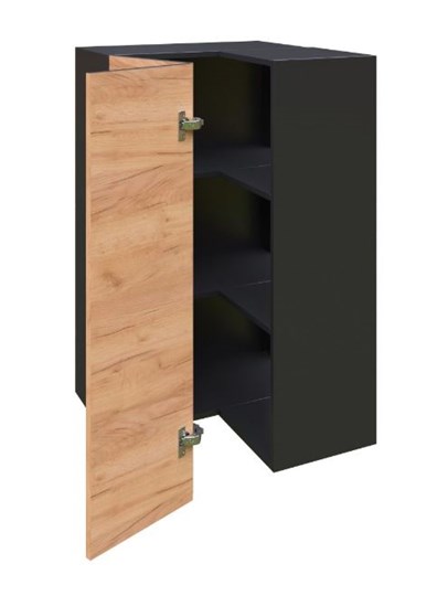 Шкаф кухонный угловой высокий Шервуд, ЛД 281.570.000.043, дуб золотой/черный в Первоуральске - изображение 1