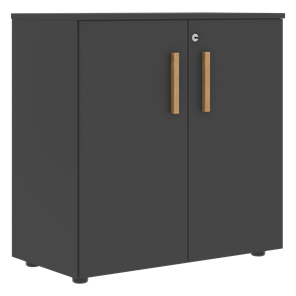 Низкий шкаф широкий с малыми дверцами FORTA Черный Графит FLC_80.1_Z__grafit.png FLC 80.1(Z) (798х404х801) в Кушве