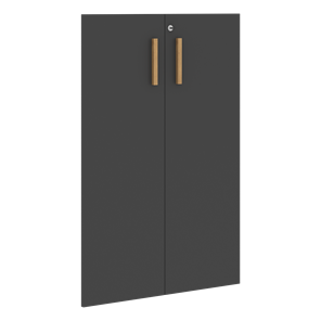 Двери для шкафов средние с замком FORTA Черный Графит FMD 40-2(Z) (794х18х1164) в Екатеринбурге