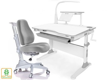 Растущая парта + стул Mealux EVO Evo-30 G (арт. Evo-30 G + Y-528 G) (дерево)/(стол+полка+кресло+чехол+лампа)/ белая столешница (дерево), цвет пластика серый в Ирбите