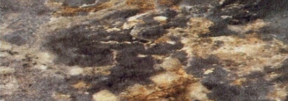Кухонная столешница 100*60 см Королевский опал темный в Первоуральске - изображение